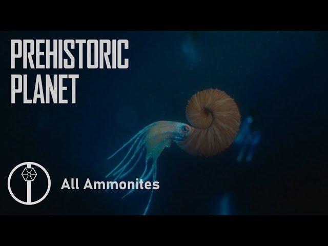 All Ammonites in Prehistoric Planet