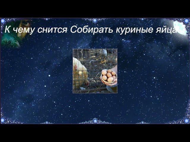 К чему снится Собирать куриные яйца (Сонник)