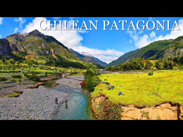 Fly Fishing Patagonia - Fly Fishing a GORGEOUS Creek for Rainbow & Brown Trout in Chile