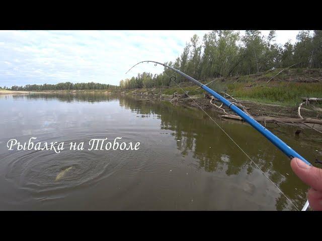 Один с Ночевкой на Рыбалке. Река Тобол. Карбаны. Подготовка к Соревнованиям Тюменский спиннинг.