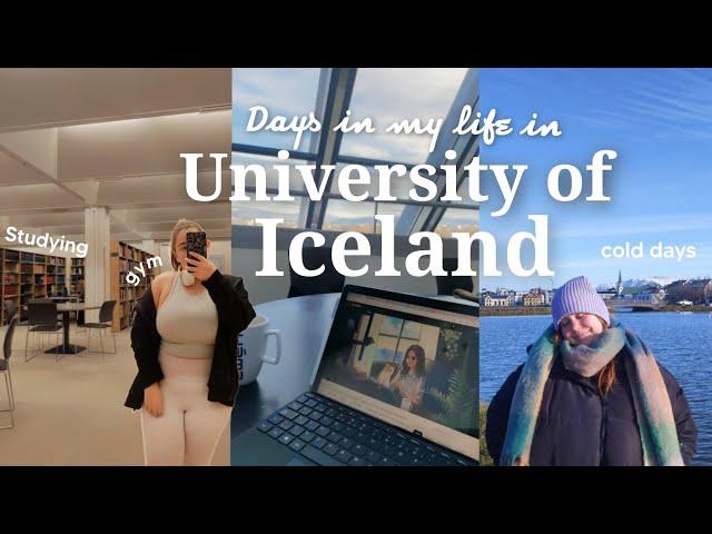 Days in the University of Iceland: Studying, going to the gym and the winter is here