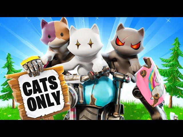 The *UNDERCOVER* CAT Challenge in Fortnite!