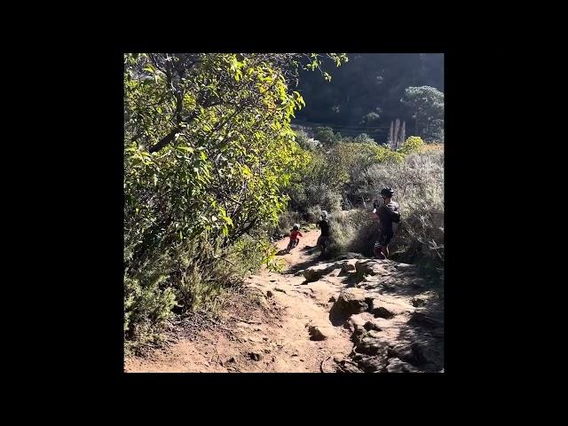 Elliot Honeycutt @ Laguna Beach Trails