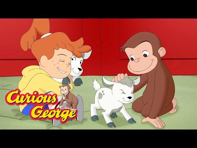 Learning About Animals with George  Curious George  Kids Cartoon  Kids Movies