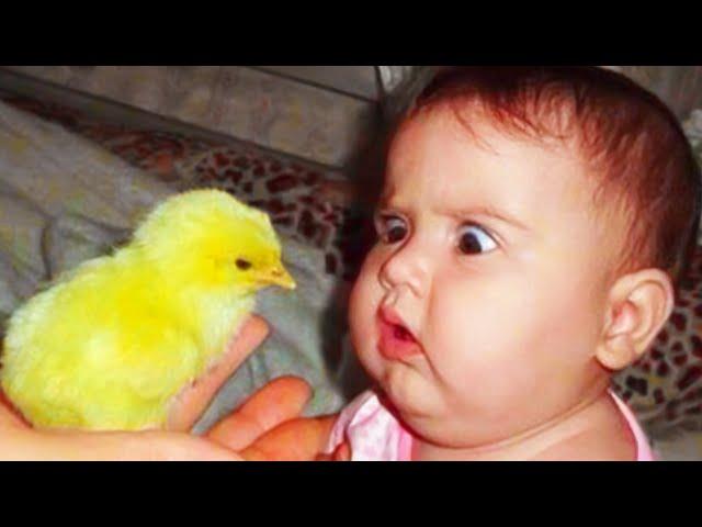 10 Minutes of Funniest Baby Playing With Animals Compilation || Cool Peachy