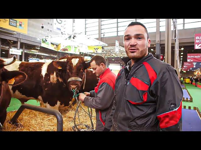 Salon de l’Agriculture : bienvenue dans la plus grande ferme de France