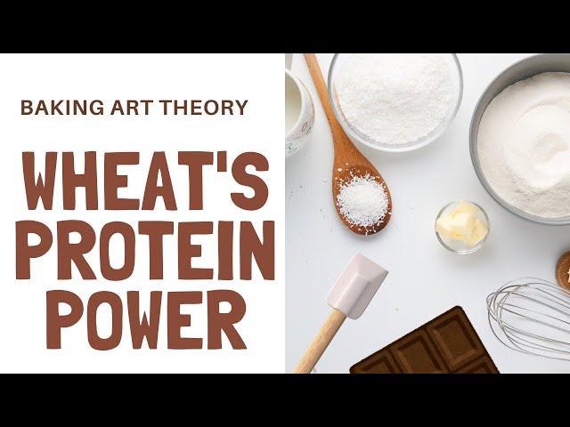 Wheat Wonders: Unveiling Protein Power!