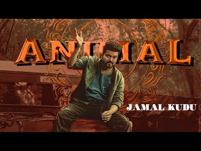 ANIMAL : JAMAL KUDU | LEO | Jamal jamaloo song | Thalapathy vijay