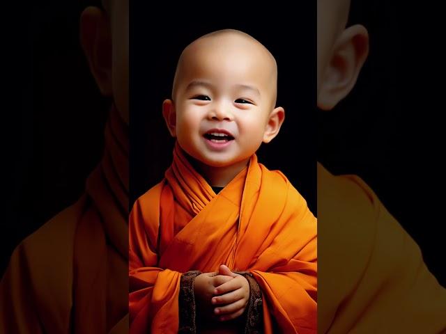 #人生 #修心 #人生智慧 #悟人生之道 #禅悟人生