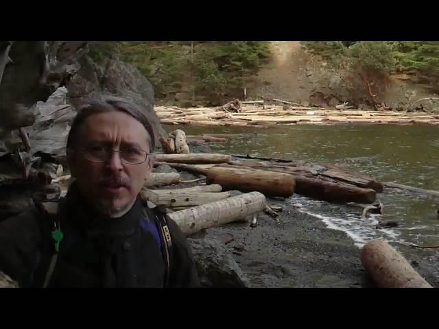 Beachcombing 101 - How to salvage valuable wood from any beach.