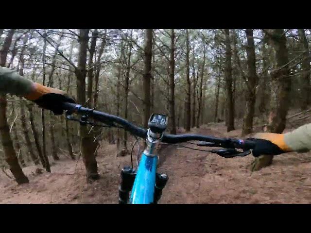 Yeti SB140 // Cannock Chase