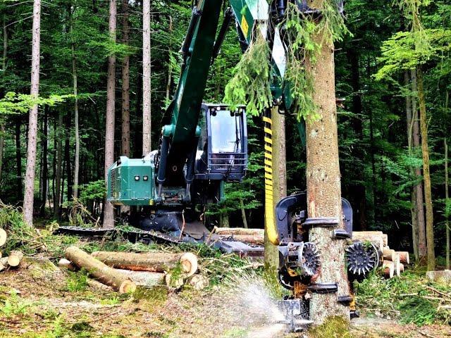 *KönigsTiger in strong wood 6,4fm* • Königstiger Kern 40T • Holzhandel Wegener • biggest Harvester