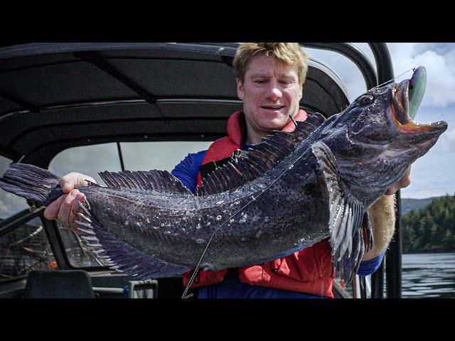 Man Eating Lingcod!!! Searching for the Sea Monster | Captain Quinn