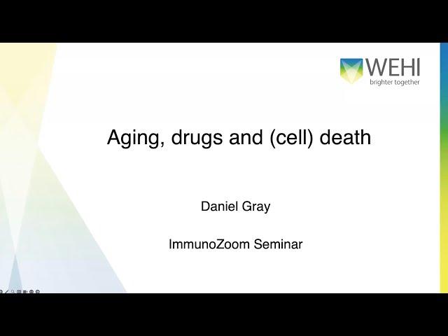 Aging drugs and cell death