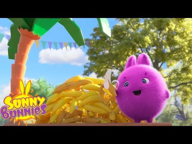 BANANA TREE - SUNNY BUNNIES - SEASON 7 MARATHON | Cartoons for Kids