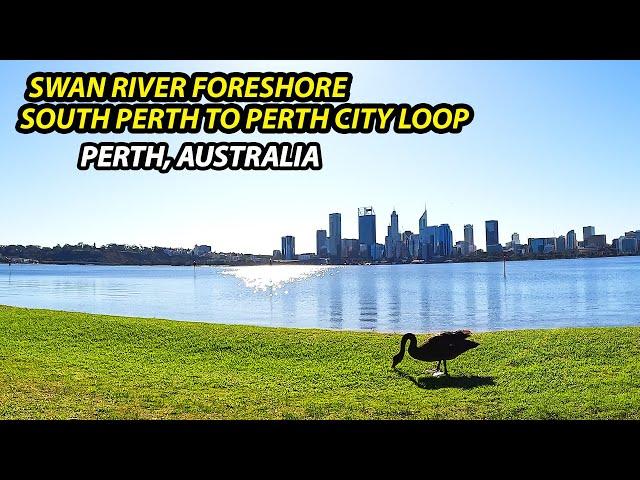 Walking Trail Swan River Foreshore Looping Perth Water | Perth, Australia | Walking Tour 4K