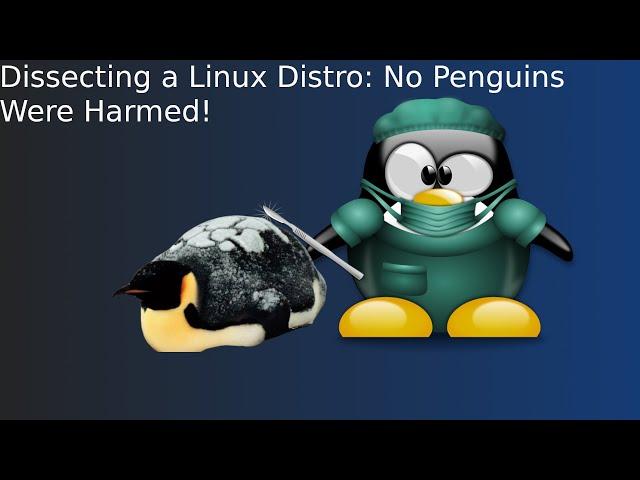 Linux Distro Dissected: What's Inside the Penguin's Belly?