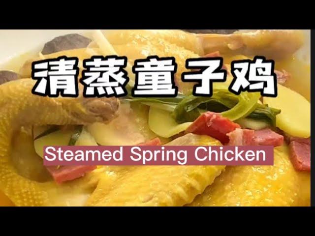 清蒸童子鸡 Steamed Spring Chicken