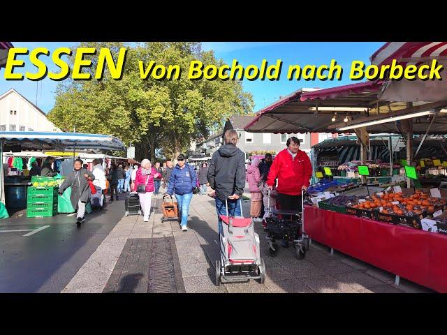 Stadt Essen walking 4K | Von Bochold nach Borbeck Herbst 2024