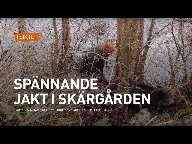 Spännande jakt i skärgården