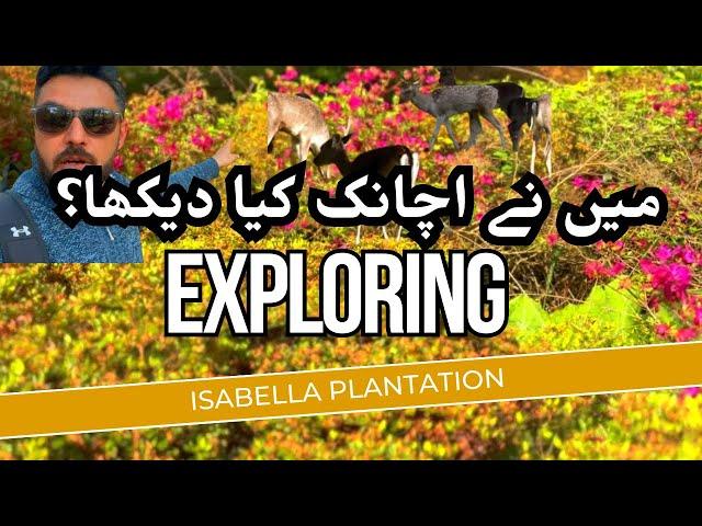 Isabella Plantation Visit | Khobsorat Phol | Pakistani guy exploring Richmond park