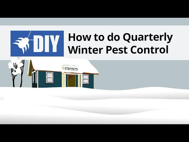 How to do a Quarterly Winter Pest Control Treatment | DoMyOwn.com