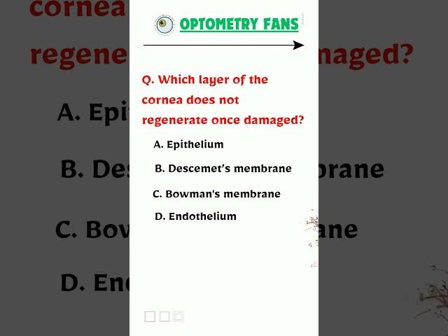 Which Corneal Layer Doesn’t Regenerate? | Eye Anatomy Explained