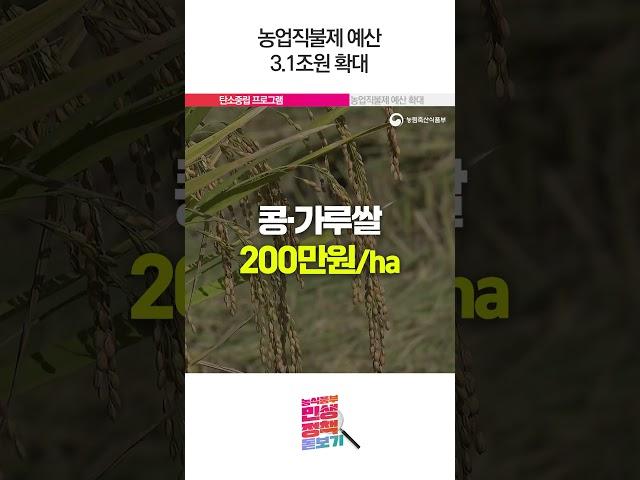 민생정책 돋보기 3편