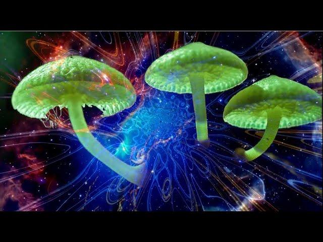 Psychedelic Trance End Of  the Year 2021 Mix  part I [135 bpm -137 bpm]