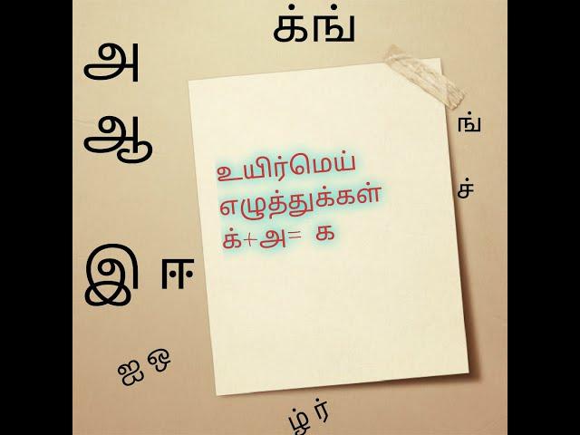 உயிர்மெய் எழுத்து க ங ச ட ட ட த ந ப ம ய ர ல வ ழ ள ற  ன   | tamil letters