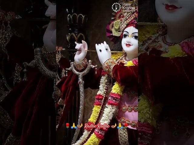 Sri Radha Radha Sri Radha Radha#shorts#video#Jai Sri Radha Govinda Bhagwan Ki Jai🪔🪔🪔
