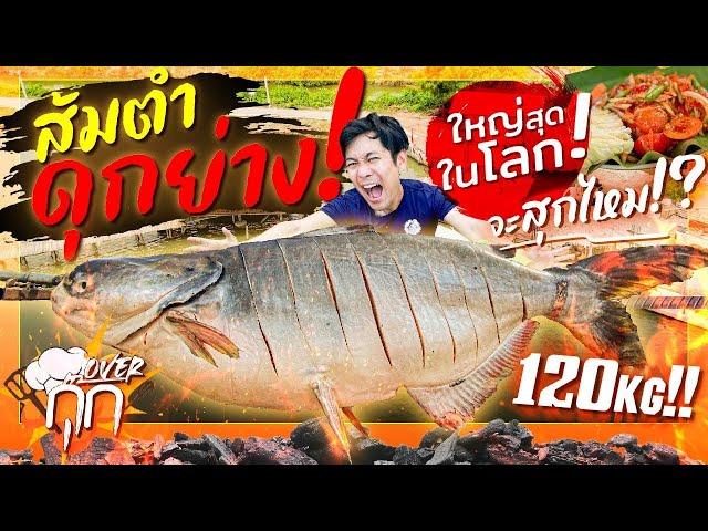 ส้มตำดุกย่างใหญ่ที่สุดในโลก!  ด้วยปลาบึกหัน 120KG ! คิดว่าจะสุกไหม!? [สาระตั้ม-Thumbntk]