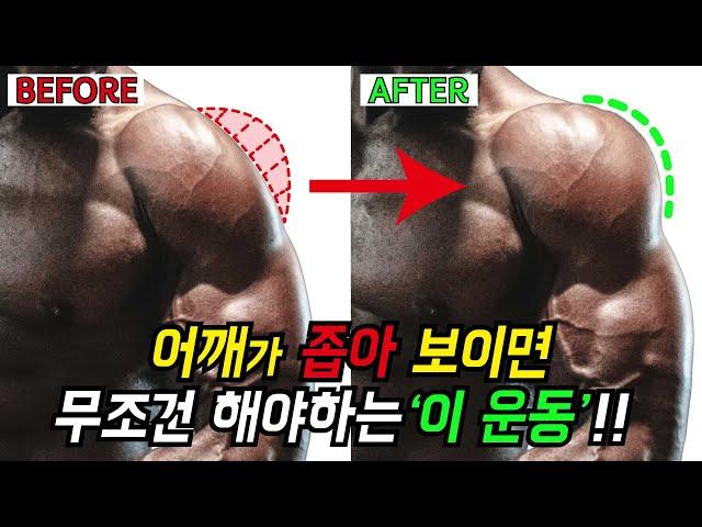 죽어라 운동해도 어깨가 2% 부족하다면 이 운동을 하지 않았기 때문입니다! (feat.후면삼각근)