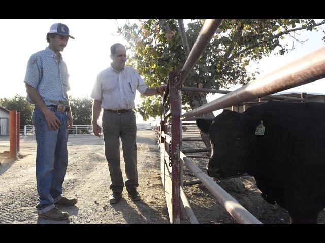 Fresno State Jordan College Faculty Spotlight: Randy Perry