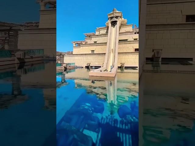 Would you dare to slide through the shark tank?  #dubai #dubailife #sharks #shark #sharktank #swim