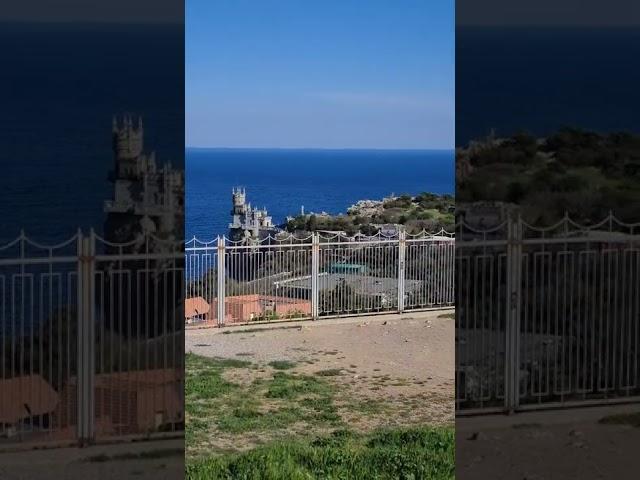 Какие у вас впечатления от Ласточки??