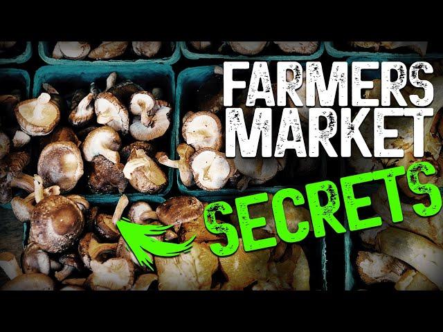 Farmers Market Mushrooms: How to Scale Your Small Hobby Farm