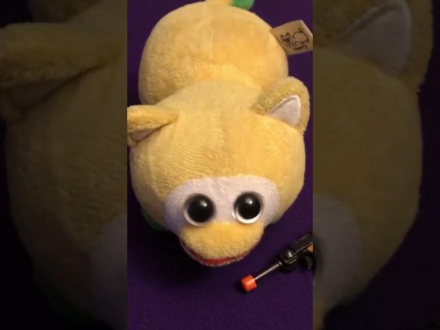 Lemonpy, what do you have? #peepy