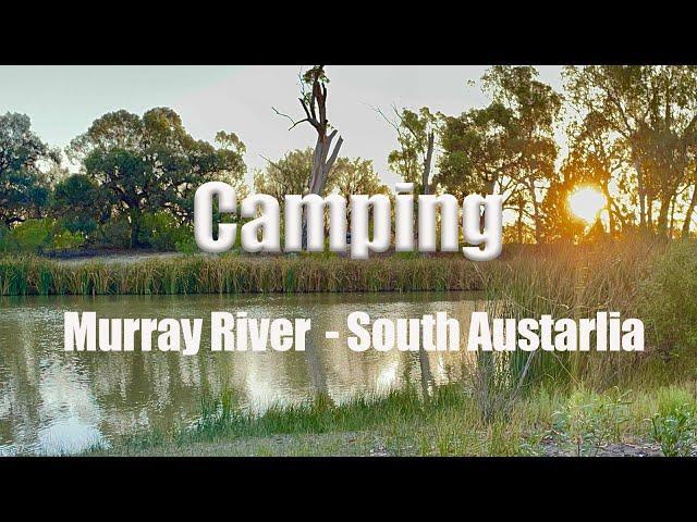 Murray River Camping South Australia - Cordola Camping