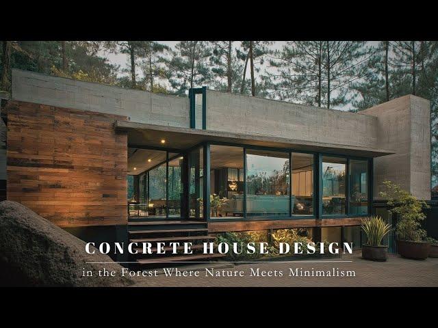 Concrete House Design in the Forest Where Nature Meets Minimalism