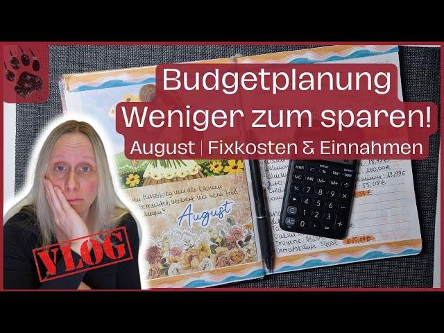 SPAREN August Budget planen  Nicht viel übrig! ECHTE Einnahmen & Ausgaben #budgetplanung #vlog