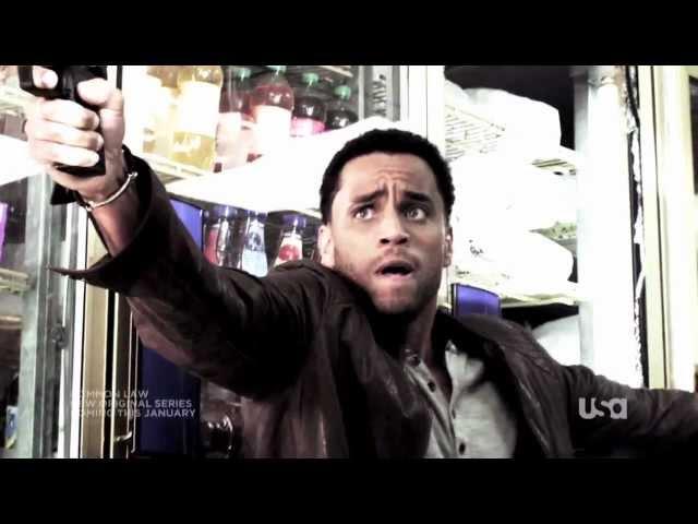 New Original USA Network Series - Common Law, January 2012