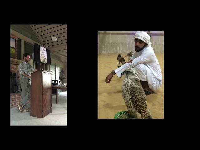 Haynes Werner on Falconry   Spring Island Trust Talk   July 21, 2016