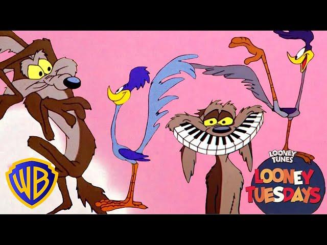 Looney Tuesdays | Iconic Duo: Wile E. Coyote & Road Runner | Looney Tunes | WB Kids