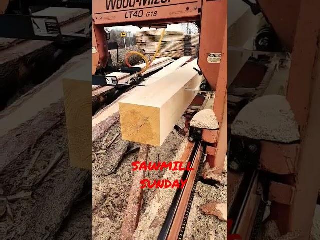 Sawmill Sunday!!!!  Red Pine 1x8. #Shorts