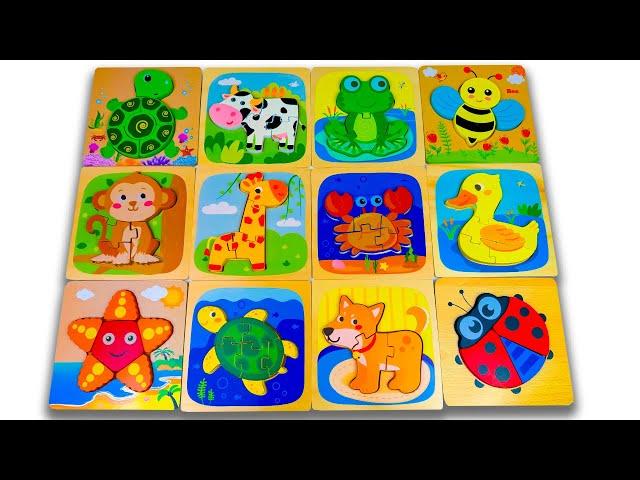 Best Learn Shapes with Animals Shape Matching Puzzle | Preschool Toddler Learning Kids Toy Video