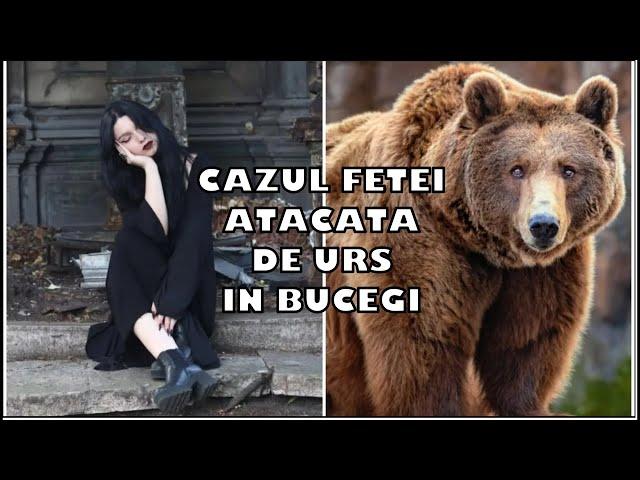 CAZUL FETEI ATACATA DE URS IN BUCEGI / DOSAR PENAL PENTRU BRACONAJ