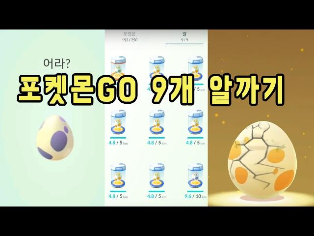 포켓몬고 10Km 5Km 2Km 알 9개 까기!  | 훈토이TV