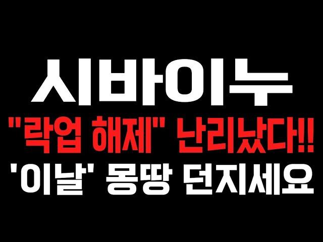 [시바이누] 락업 해제!! "최종 발표" 터지고 '이날' 몽땅 던지셔야 합니다!! #시바이누 #시바이누전망 #시바이누목표가 #시바이누분석 #시바이누대응 #시바이누호재