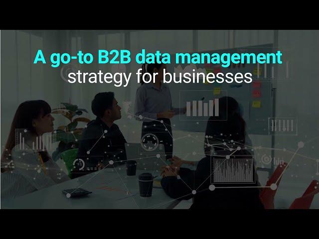 What is B2B Data Management and why Should Businesses Prioritize It?